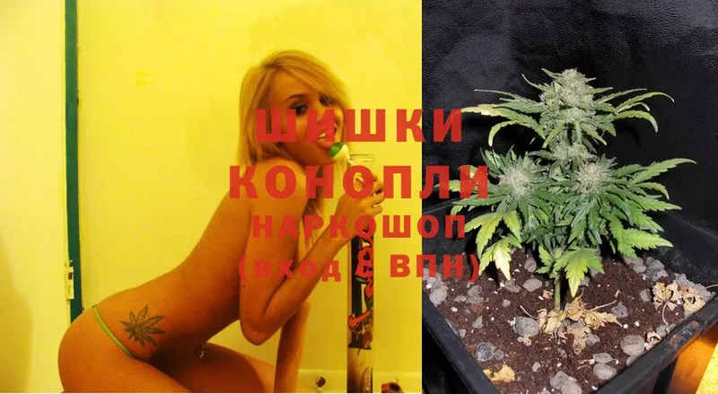 Конопля LSD WEED  Дубовка 